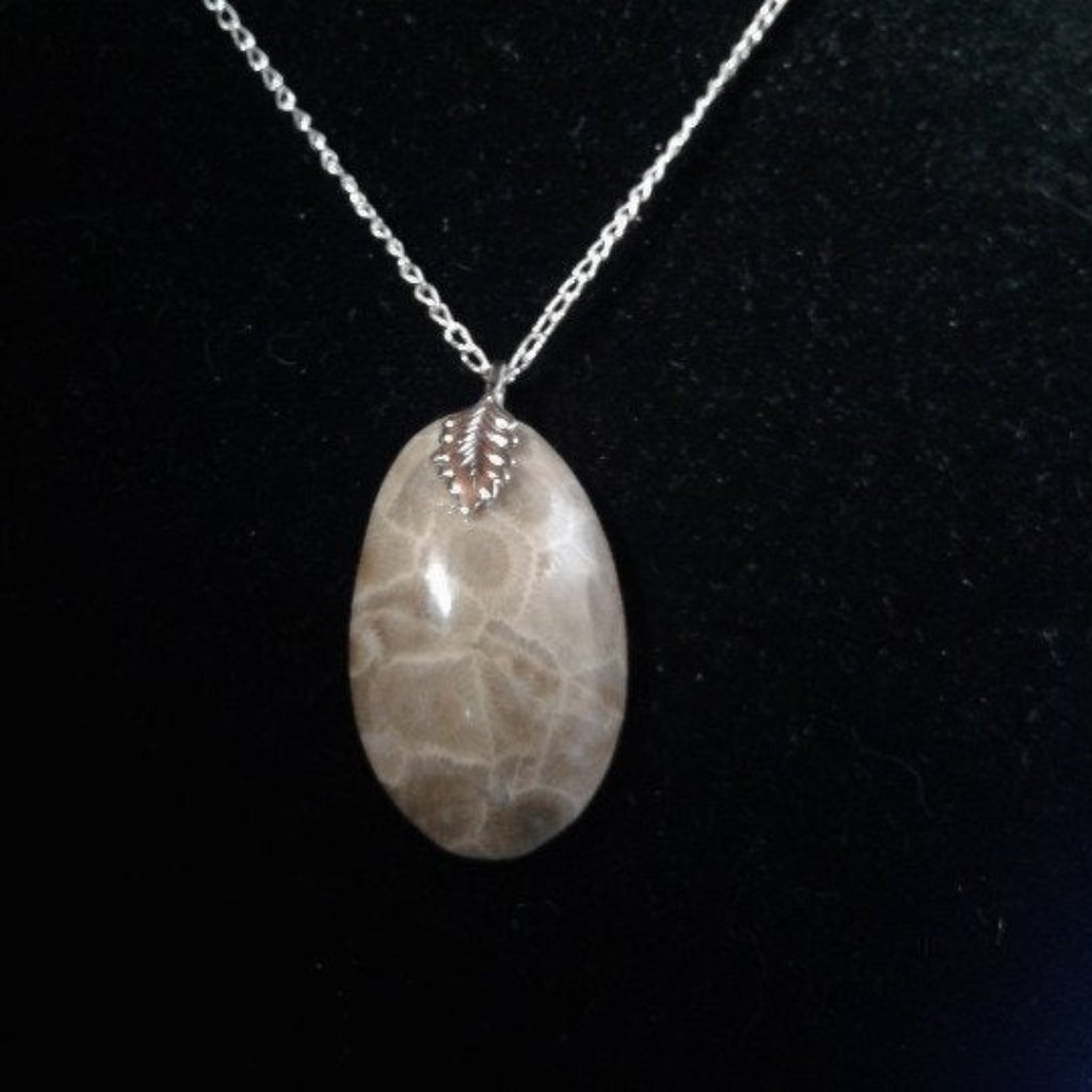 Fossilized Coral Oval Cabochon Z362 23$